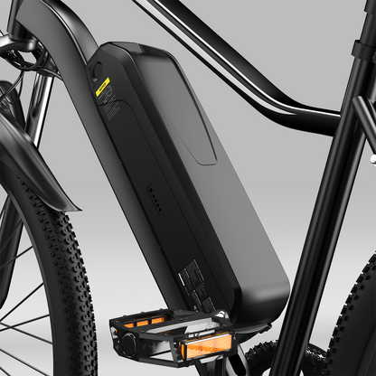 EB3S Electric Mountain Bike