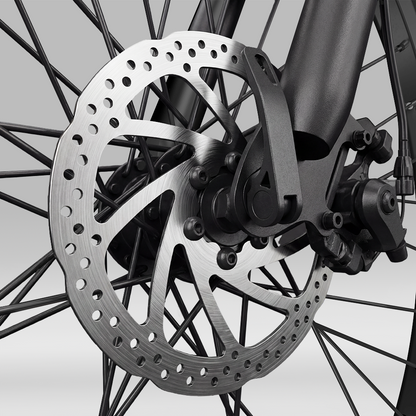 EB3S Electric Mountain Bike