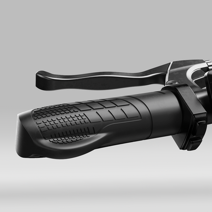 EB3S Electric Mountain Bike