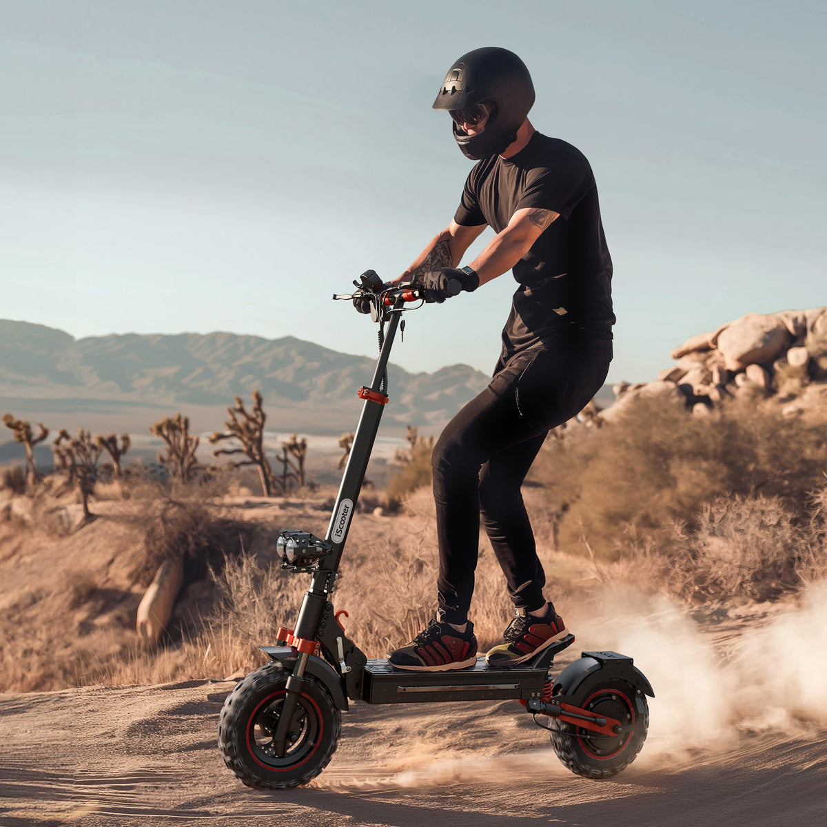 iScooter iX5S 1000W Off Road Electric Scooter